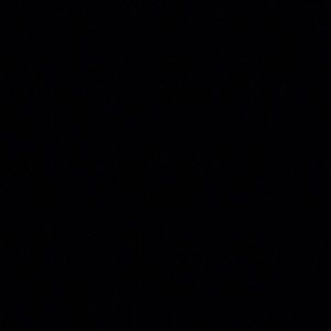 Meet your Posher, Gracie